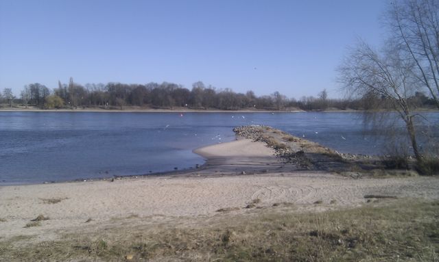 rhein rhein strand 