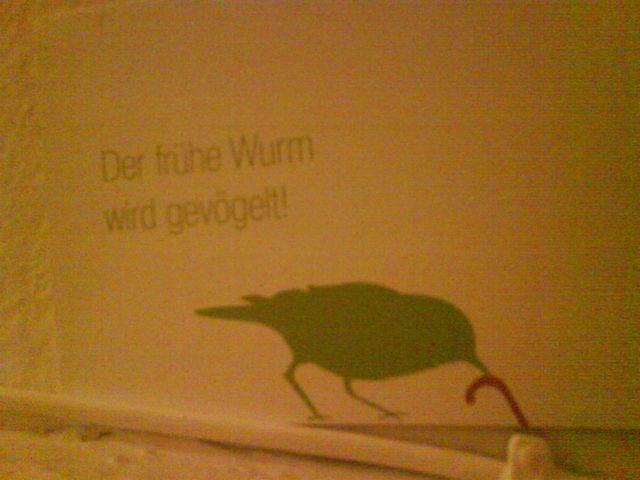 gewurmt wahrheiten vogel spruch frh vgeln wurm 