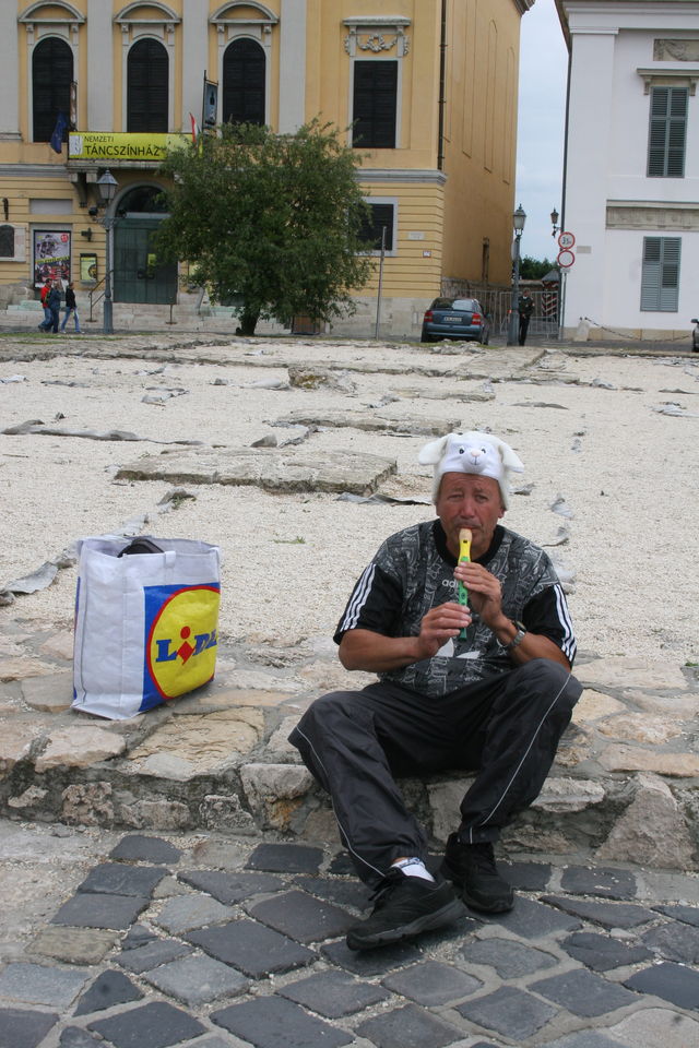 fl�tenschaf fl�te schaf burg budapest 