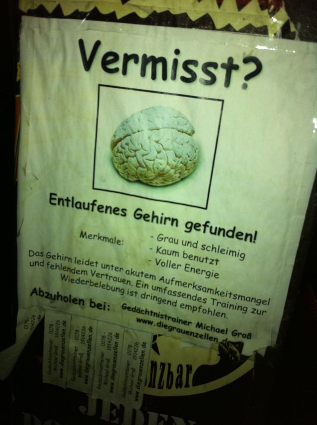  entlaufen gehirn schild vermisst 