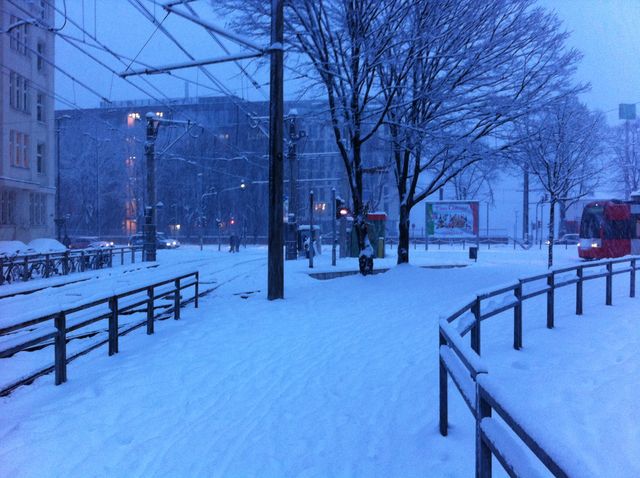 schnee in k�ln k�ln schnee winter weiss 