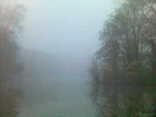 Sehr nebelig. insel natur nebel see wald wasser 