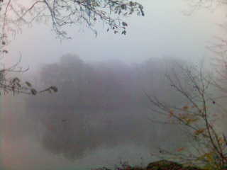 Nebelig. insel natur nebel see wald wasser 