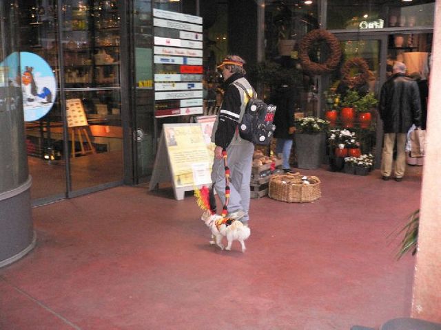 deutschland ber alles deutschland fan hund wurst 