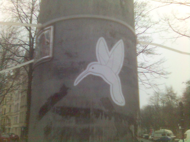 kolibri kolibri vogel k�ln streetart 