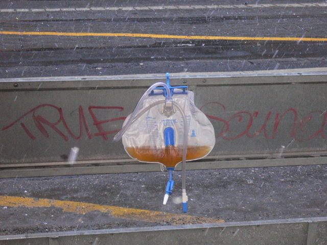 karneval heilt pisse karneval k�ln 