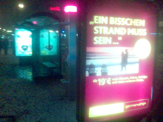 hund und strand und schnee hund k�ln schnee urlaub werbung strand 