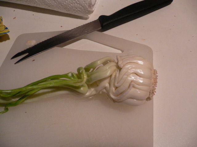 kurioser knoblauch gem�se knoblauch essen k�che 