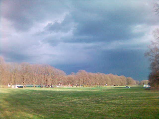 Negativhimmel baeume deckstein wetter himmel koeln natur wiese wolken 