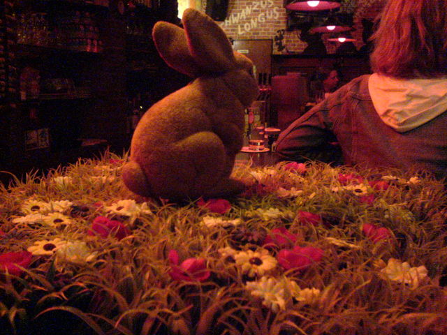 Ostern naht... backes hase ostern kneipe s�dstadt 