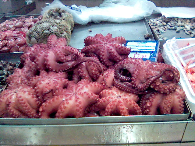 tutti frutti meerefr�chte saugn�pfe tintenfisch barcelona rot urlaub 