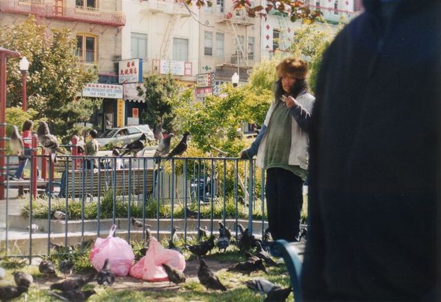  plastikt�tenmongole 