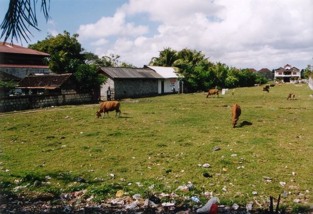  bali idylle 