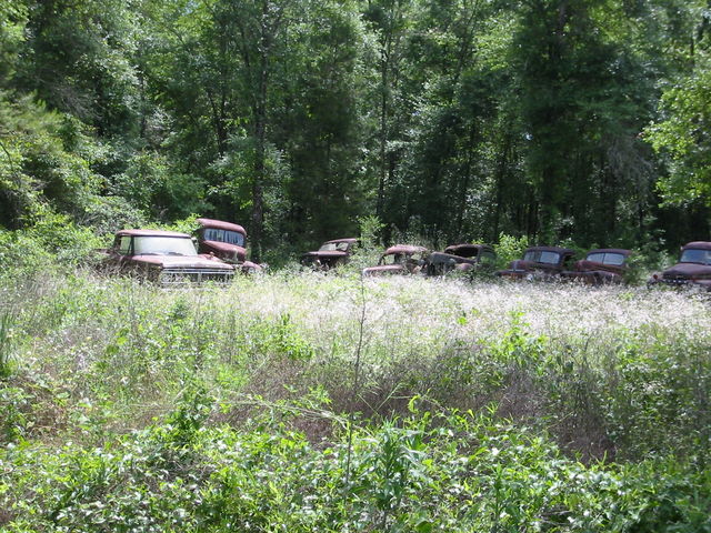  autofriedhof auto rost 