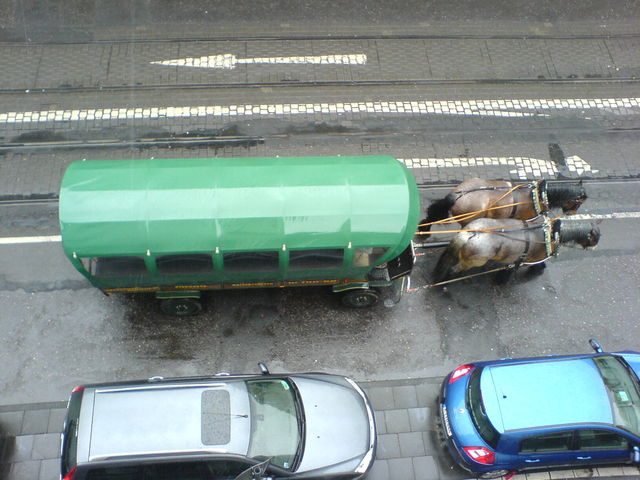 zurck in die vergangenheit bonnerstrasse pferd 