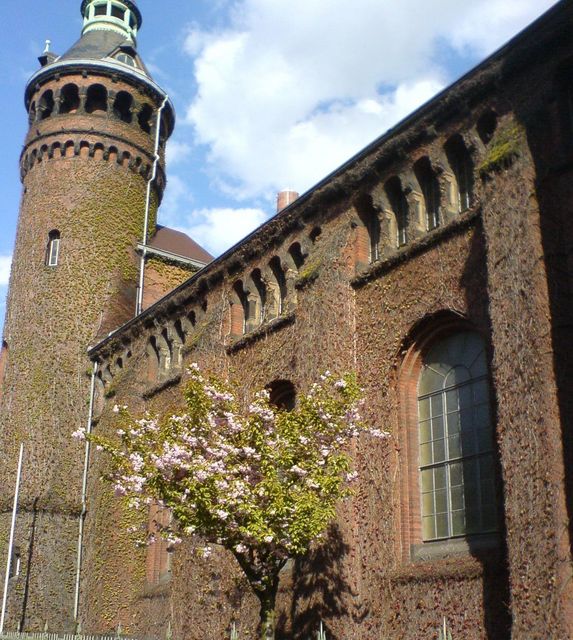 frhling baum kraftwerk frhling natur sdstadt 