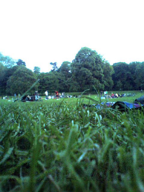 volkspark chillen gras park sommer wiese 