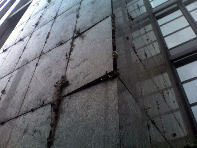 kraft der natur geb�ude haus pflanze natur 