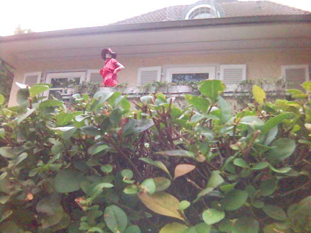 Carmen Sandiego? carmen hecke lindenthal sandiego haus hut k�ln rot schaufensterpuppe balkon g�rtel 