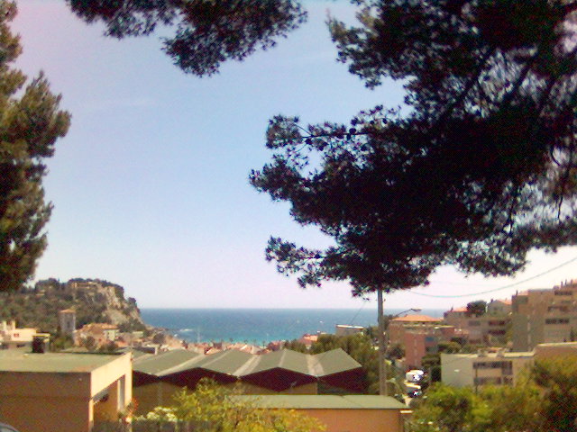 Cassis 