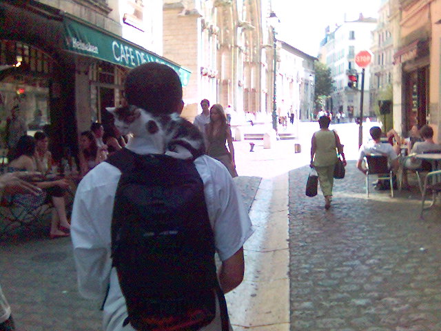 leichte Fracht k�tzchen rucksack katze frankreich lyon 