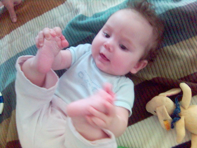 Murmelchen akrobatisch f��e niedlich baby 