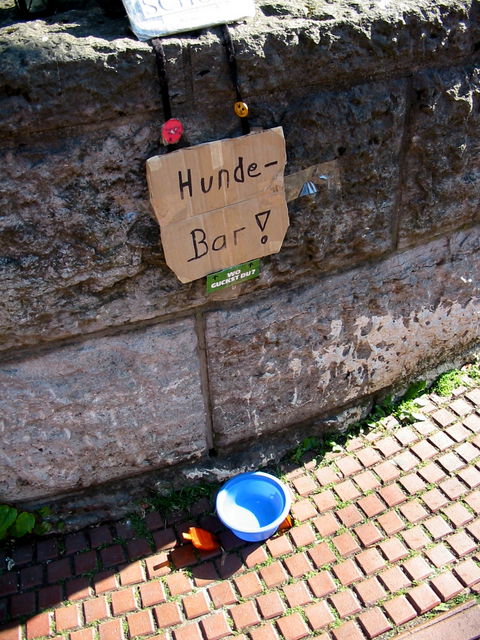 Hundebar hundebar k�ln 