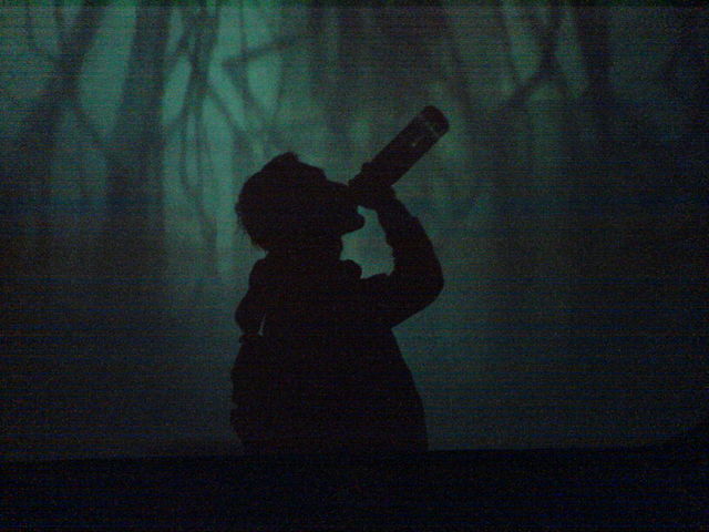 schattensaufen beamer evoke saufen leinwand evoke2006 demoscene 