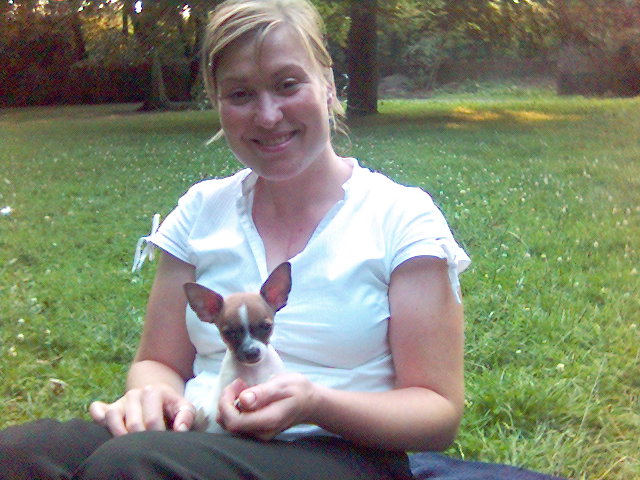 schohnchen I. hndchen hund park chiwawa 