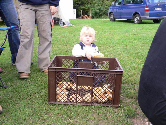 louise fr�hst�ck essen kind wiese br�tchen pfadfinder 