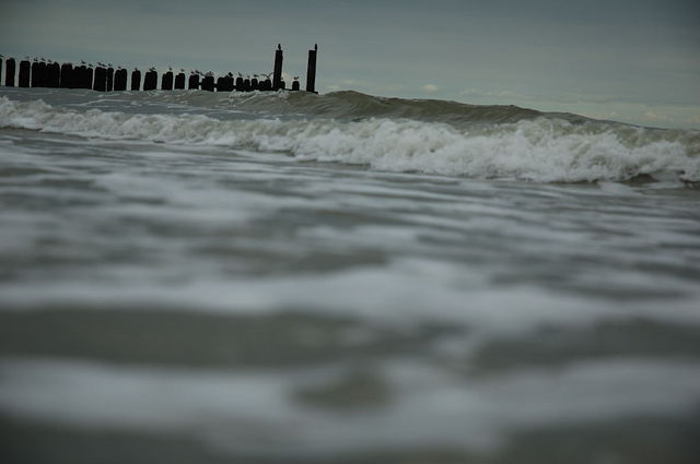 Blubb Blubb :) domburg holland meer 