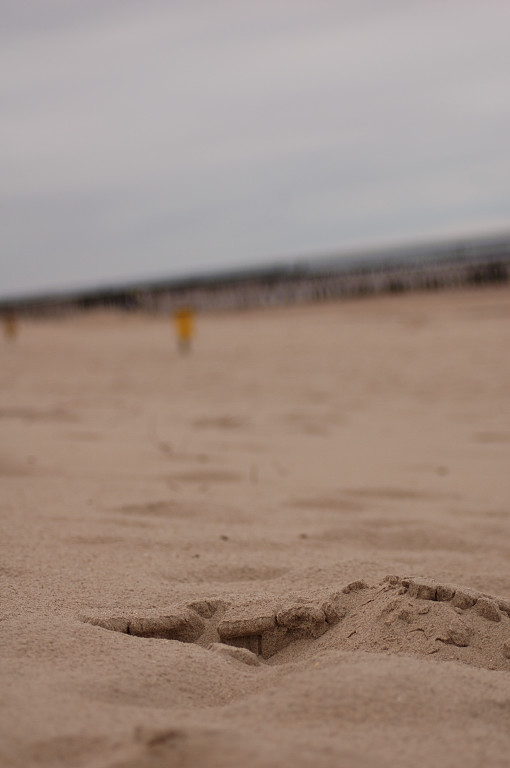  spur meer sand domburg 