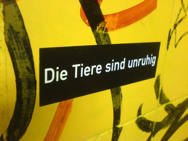 Die Tiere sind unruhig kante gebude9 klo konzert sticker 