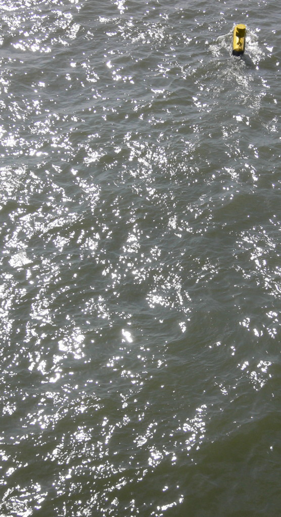 glitzern k�ln rhein wasser 