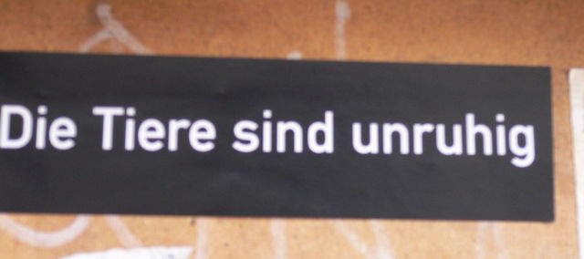 vorbote unruhig sticker tiere 