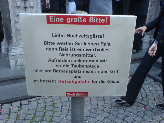 eine gro�e bitte reis k�ln schild hochzeit rathaus 