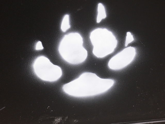 bruno kommt bestimmt b�r pranke tatze streetart sprayen spur 