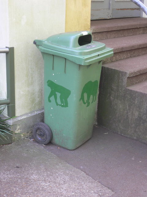 m�lltrennung - hier nur gorillas und elefanten elefanten gorillas m�ll zoo 