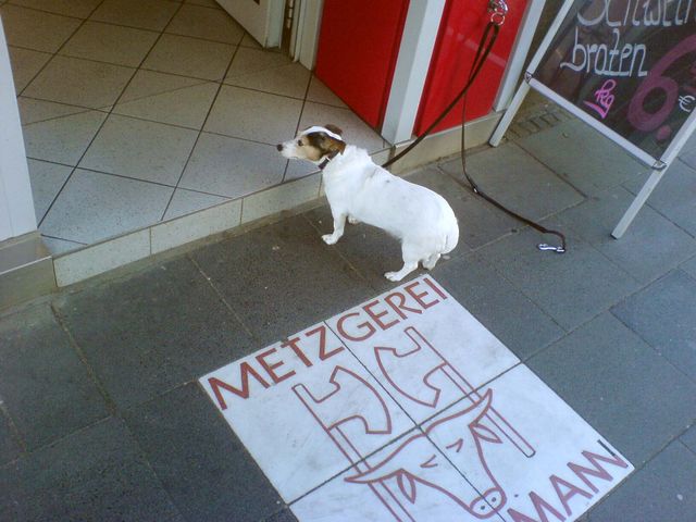 Fleisch-hieper ! hjieper jieper fleisch hund metzger 