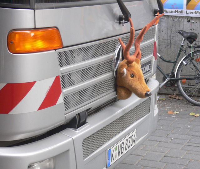 wild auf entsorgung jagd mllabfuhr hirsch kln mll laster wild 