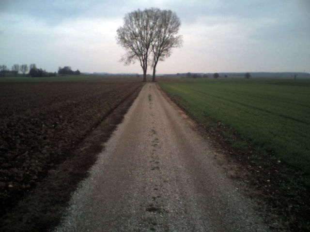 herr segne unsere flure bringdichum depression endeaus keinausweg nixgehtmehr selbstmord baum feldweg 