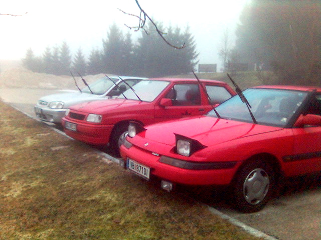 SALUTIERT!! salutieren sieg �sterreich auto parkplatz 