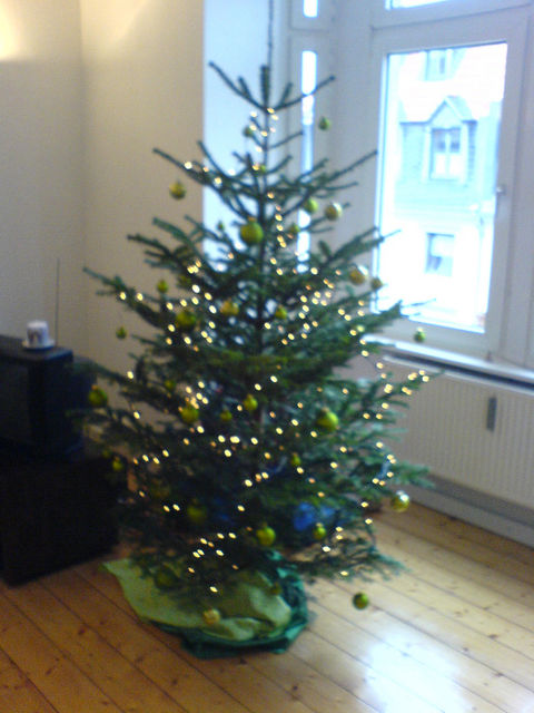home sweet home christbaum tanne tannenbaum baum weihnachten 