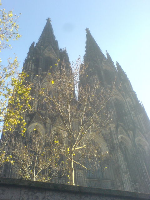 sch�nwetterdom dom k�ln wetter b�ume 