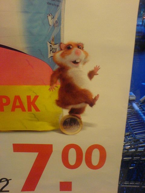 Im albert heijn darf man hamstern! albert hamster hamsterkufe heijn 