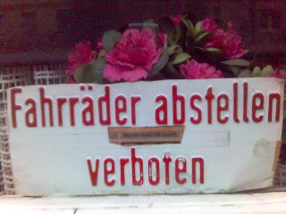 durch die blume gesagt regel schild blumen schrift email 