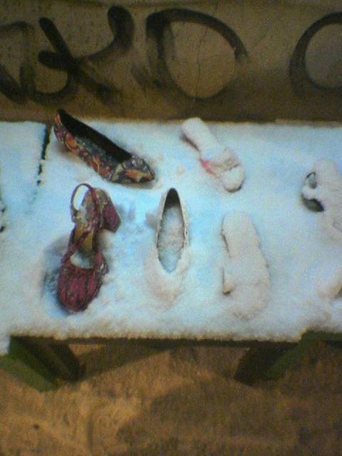 Schneeschuhe schnee 