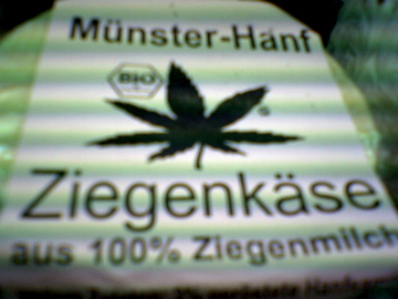 hanfk�s (mit musik) hanf essen k�se m�nster ziege bio 