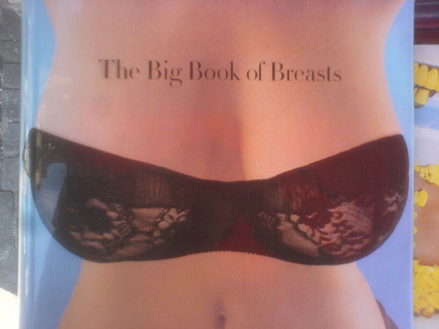 bilderbuch buch titten br�ste busen 