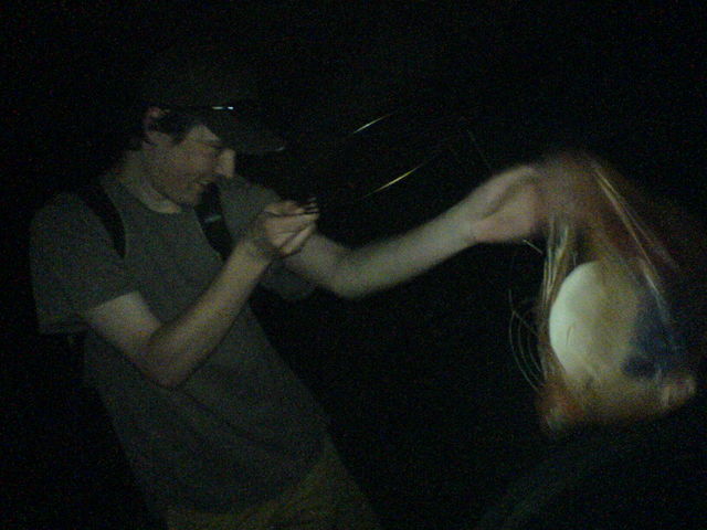 der kampf mit dem m�ll grillrost m�ll stephan 